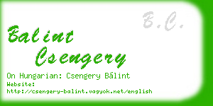 balint csengery business card